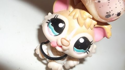 LPS - MEP 2 (MV - Work From Home / Fifth Harmony, Ty Dolla $ign) INTRO - OUTRO (OPEN) ×POPISEK!×