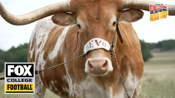 Charlotte Wilder details her trip to meet Bevo | U...