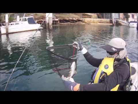 Darwin's Fishing Diary