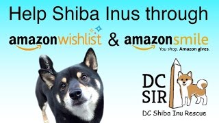 DC SIR: Amazon Wish List and Amazon Smile 2015 - 16