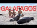 Galapagos by Private Yacht (the best way to visit - Part 1)!  [Ep35]