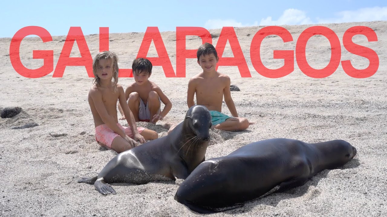 Galapagos by Private Yacht (the best way to visit – Part 1)!  [🎥35🇪🇨]