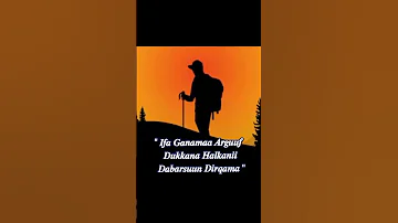 Jechoota Kaka Umsaa 
