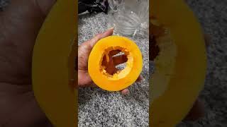 wow, seedless papaya #viral #shortsvideo #shortsyoutube #shorts