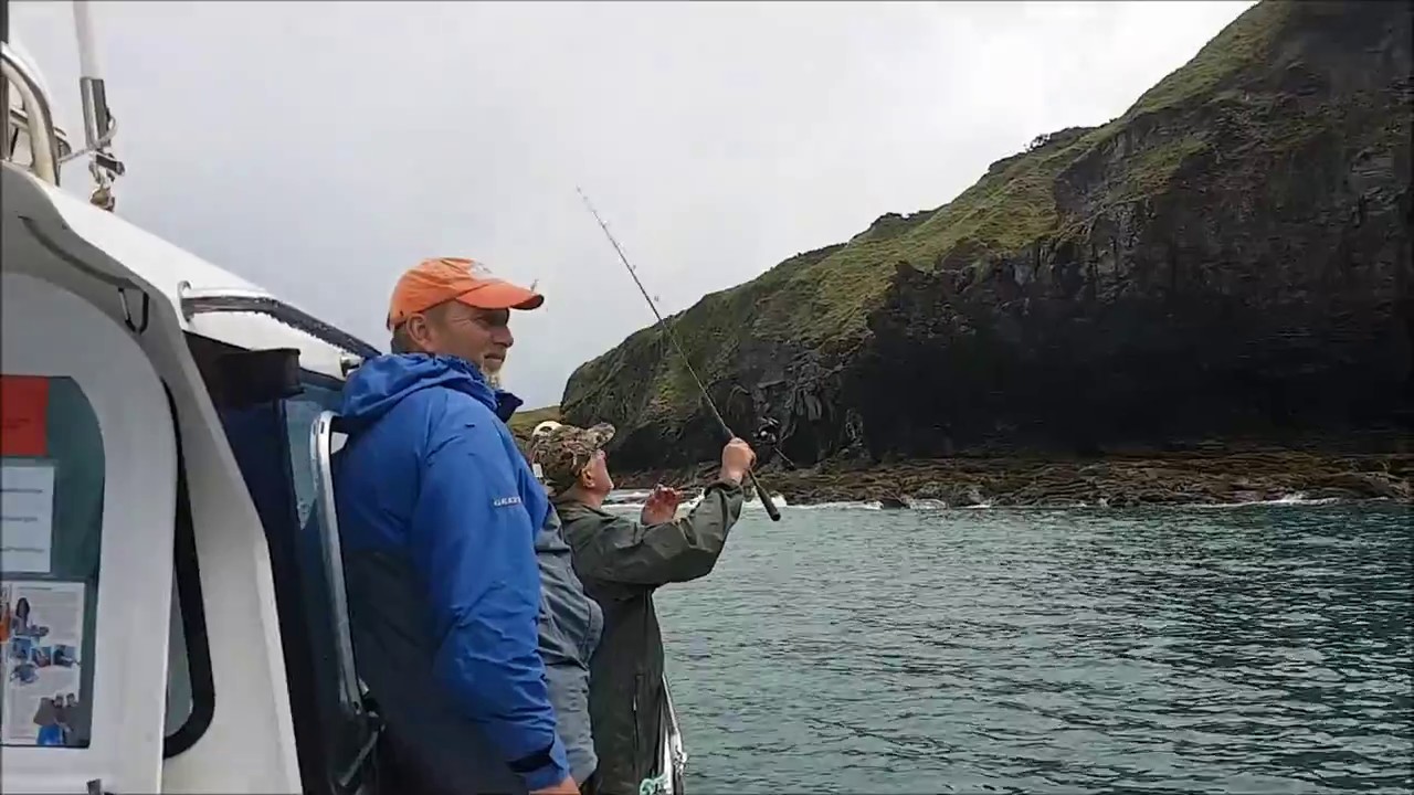 sea fishing trips new quay wales