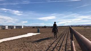Horsemanship Week 1