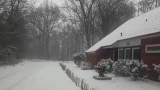snowfall, music, country, forest تساقط الثلج مع موسيقى هادئه لمحبي الطبيعه والهدوء screenshot 3
