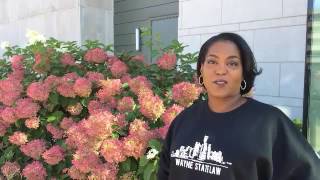 Rachel McDuffie: Help students like me pursue their dreams
