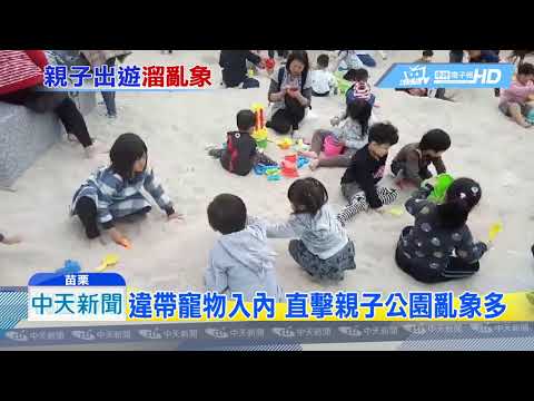 20190228中天新聞　228年假哪裡去？　火紅「章魚」溜滑梯逆向危玩