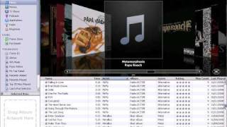 How to use Torrents to get free music