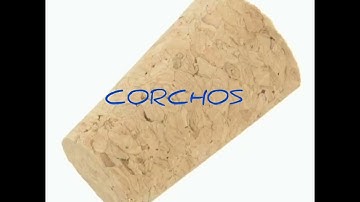 Proyecto Robótica 2023 - CMCS              GRUA ARDUINO-UNO