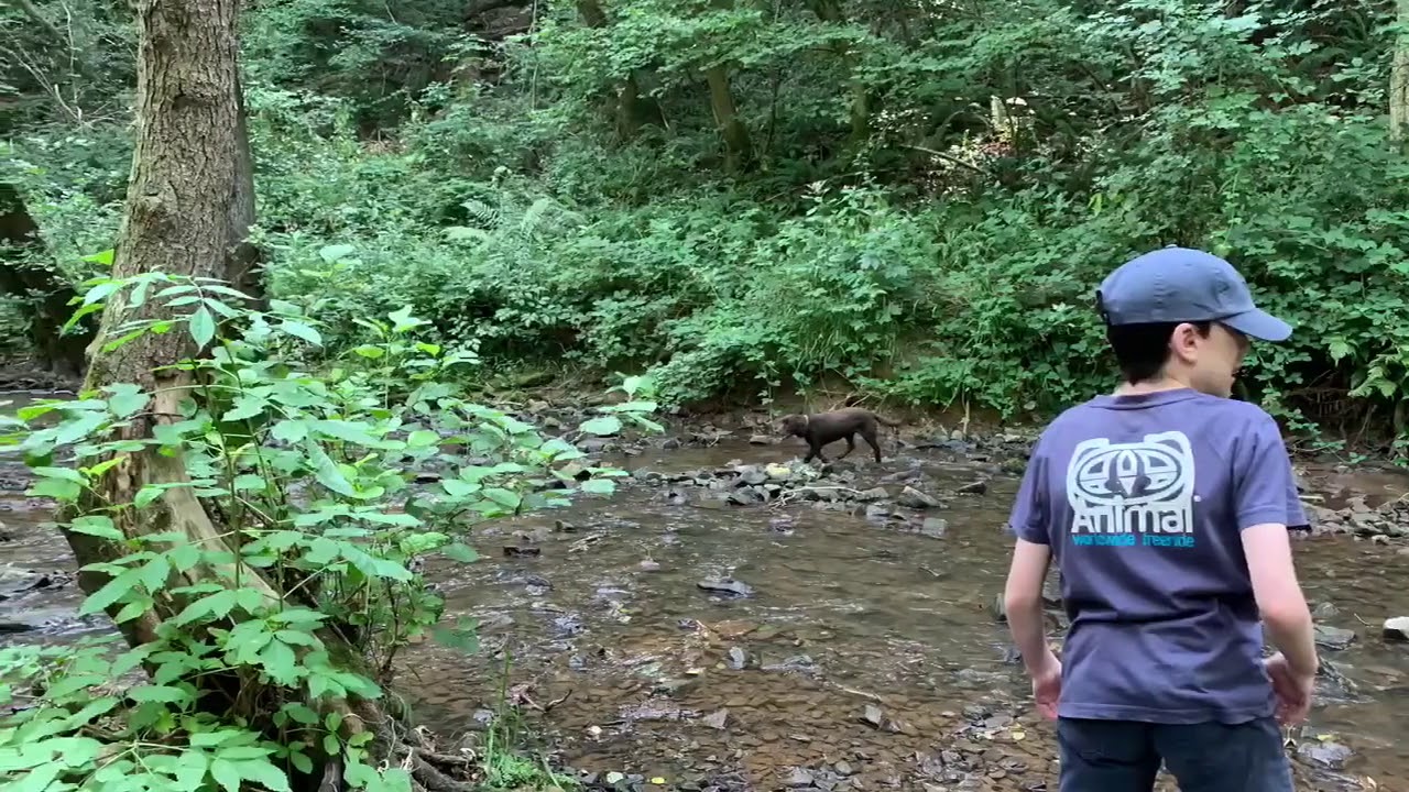 Knapp & Papermill 12th August 2020