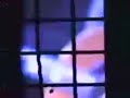 AO VIVO  À espera de Paul McCartney   Vídeos   ZeroHora11