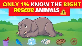Only Geniuses Can Rescue All the Animals! | Quiz Escape IQ Challenge 2025 screenshot 5