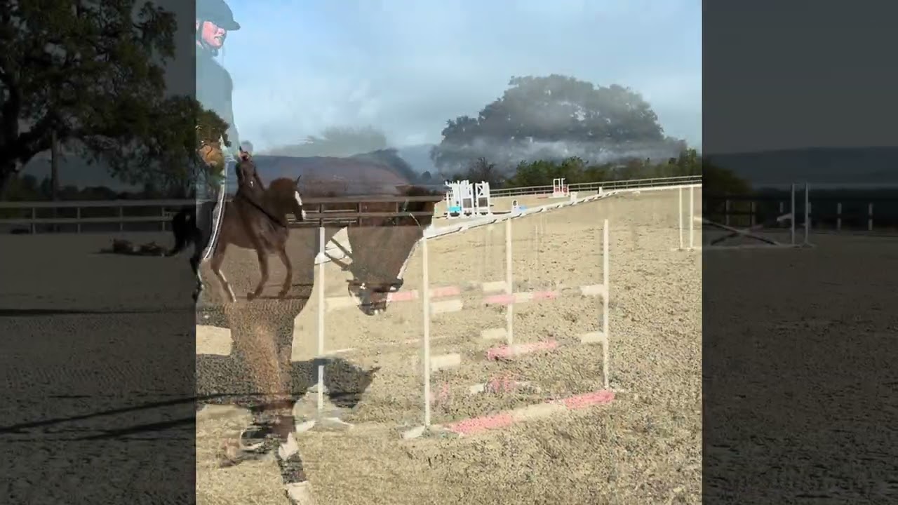 Rupert February 2026 