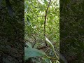 22 червня 2024 р.