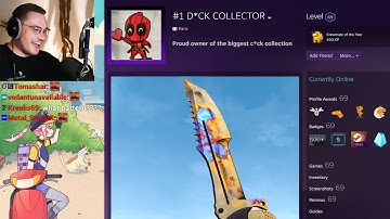 the most unhinged steam collector