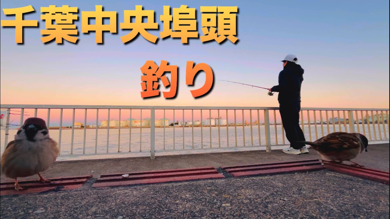 千葉中央埠頭で釣りをしてきました🎣