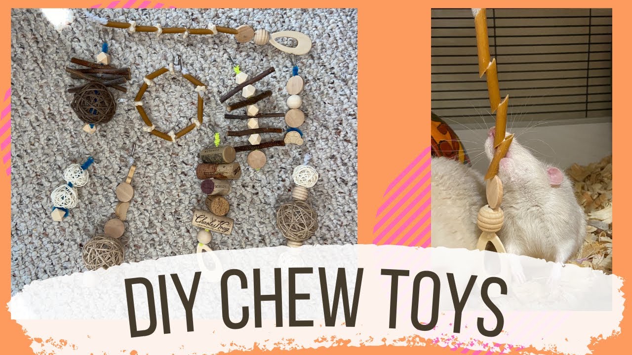 Diy Wooden Rat Chew Toys You
