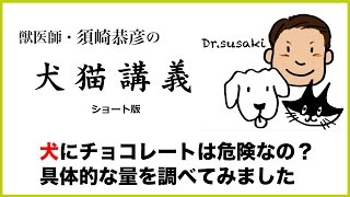 【須崎恭彦の犬猫講義】犬にチョコレートは危険なの？具体的な量を調べてみました - テオブロミンについて -