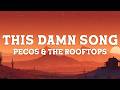 Pecos The Rooftops This Damn Song Lyrics mp3