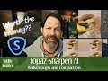 Topaz Sharpen AI - Compare Modes - Worth the $$$ ?