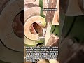 자동화 기계의 정밀한 소형 스프링 제조 공정 #worker #process #spring #manufacturing #machine
