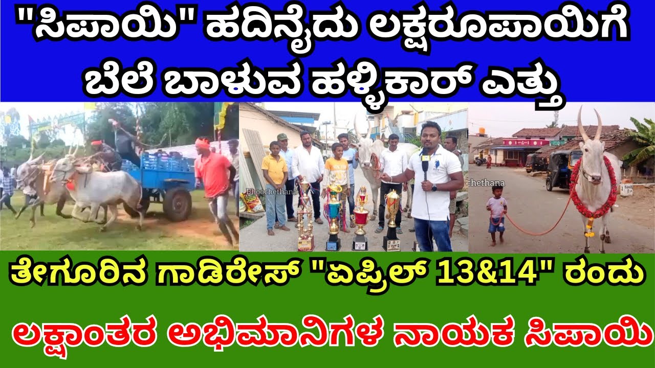 ಸಿಪಾಯಿ ಹದಿನೈದು ಲಕ್ಷರೂಪಾಯಿಗೆ ಬೆಲೆ ಬಾಳುವ ಹಳ್ಳಿಕಾರ್ ಎತ್ತು ತೇಗೂರಿನ ಗಾಡಿರೇಸ್ ಏಪ್ರಿಲ್ 13&14 ರಂದು #sipayi