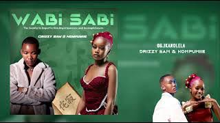 Drizzy Sam & Nompumiie-Ikandlela(Official Audio)