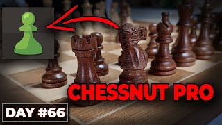 Chessnut PRO Review: The Ultimate Way To Learn Chess?