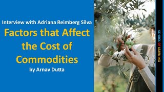 What are the Factors that Affect the Cost of Commodities?