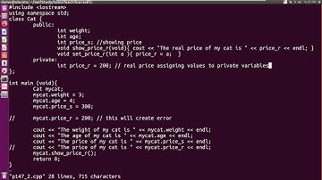 C++ | Warning non static data member initializers only available with  std=c++11 or  std=gnu++11