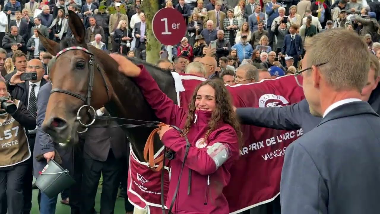 FOCUS GALOP PLAT