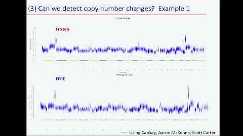 TCGA: Comparative Mutational Analysis in Frozen and FFPE Tumor Samples - Gaddy Getz