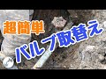 【バルブ取替え】