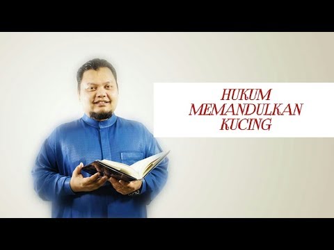 Video: Haruskah Saya Memandulkan Kucing Saya?