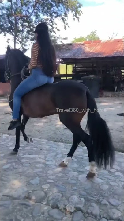 Beautiful girl riding horse with cute smile ❤️ Subscribe for more ❤️
