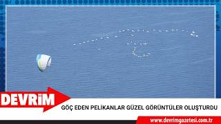 GÖÇ EDEN PELİKANLAR GÜZEL GÖRÜNTÜLER OLUŞTURDU