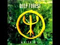 Thumbnail for DEEP FOREST- White Whisper. (Album World Mix '94).