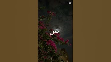 #قرآن #اكسبلور #سورة آل عمران