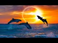 Relaxing Sleep Music 24/7, Deep Sleep Music, Spa, Calming Music, Sleep, Insomnia, Meditation Music