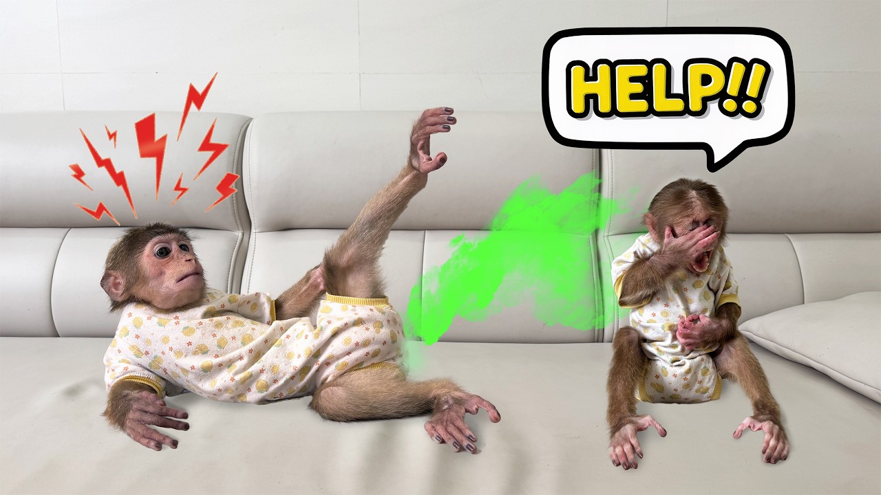 Sunny is completely shocked by Lucky’s unbelievable action!