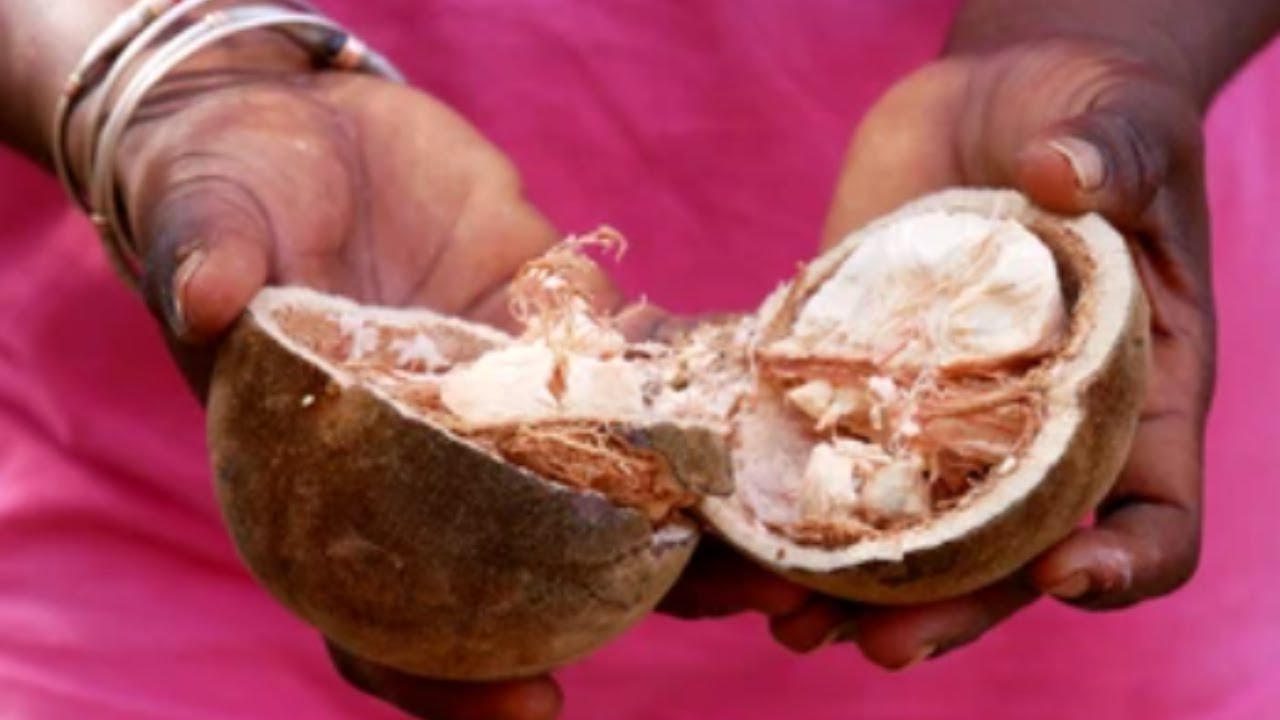 Ce fruit AFRICAIN est une super-étoile des superaliments! - YouTube