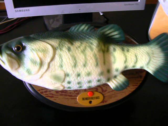 big mouth billy bass jr (SINGING FISH)