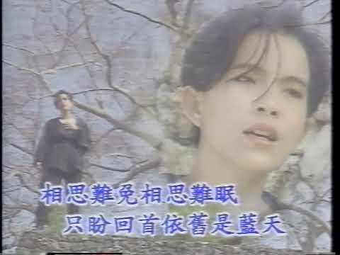 [潘美辰精选辑 I VHS (蓝白时代)] 04 潘美辰: 相思难免 (KTV 伴唱版)