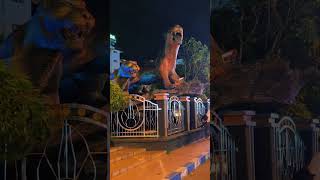 Alun-alun ponorogo #shortvideo#healingvlog