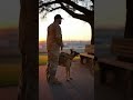 The moment my K9 partner realized this was our last patrol. I wasn't ready. 💔😭