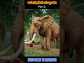 गर्भवती हाथी का गुस्सा Animal Stories | Hindi Stories | Hindi Kahani | Hindi Kahaniyan #shorts