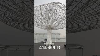 생명의나무전망대 영상