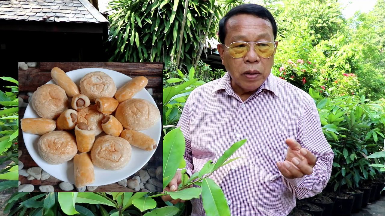 ต้นมะริด 